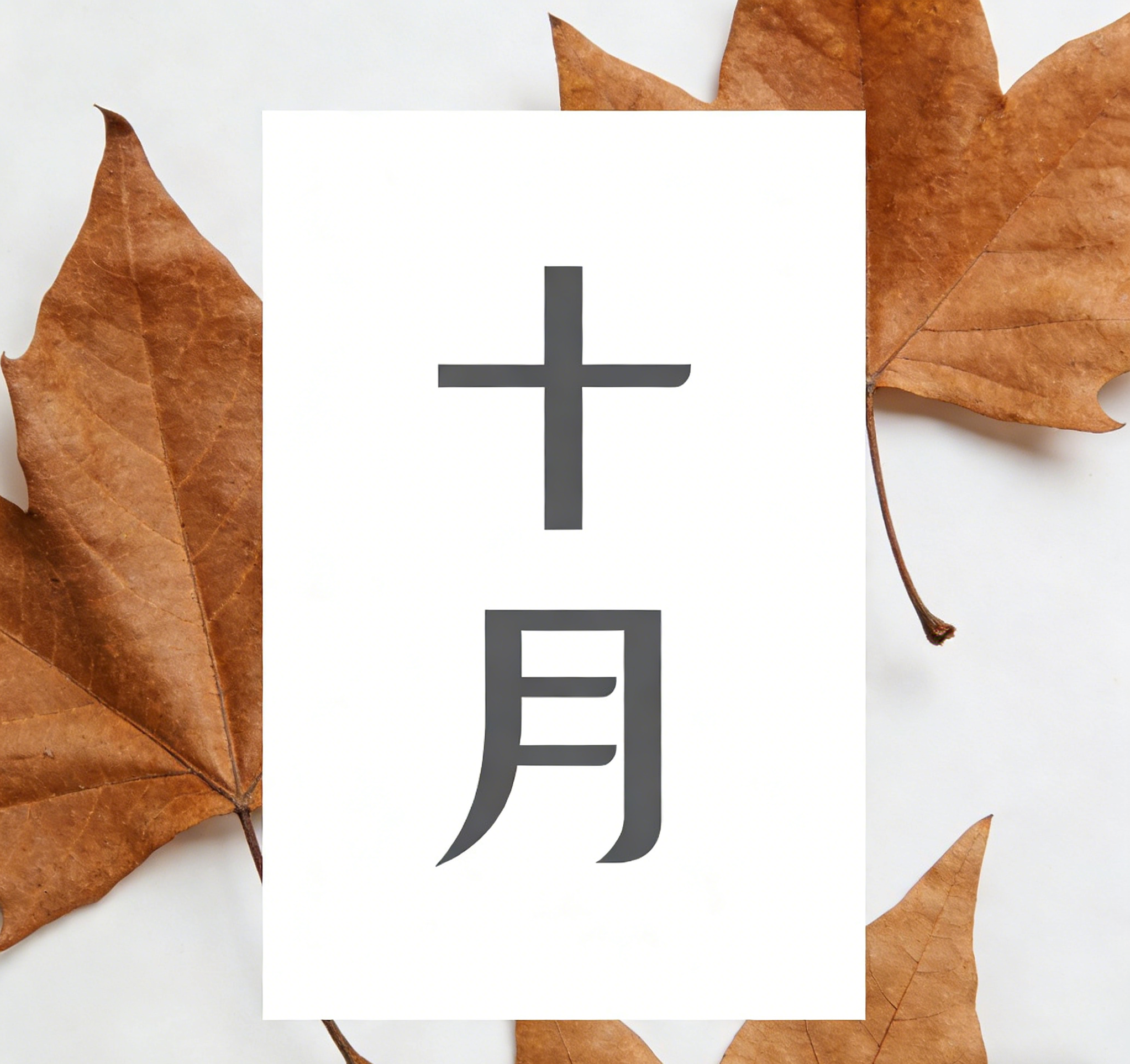 十月杂记-最近我在干啥