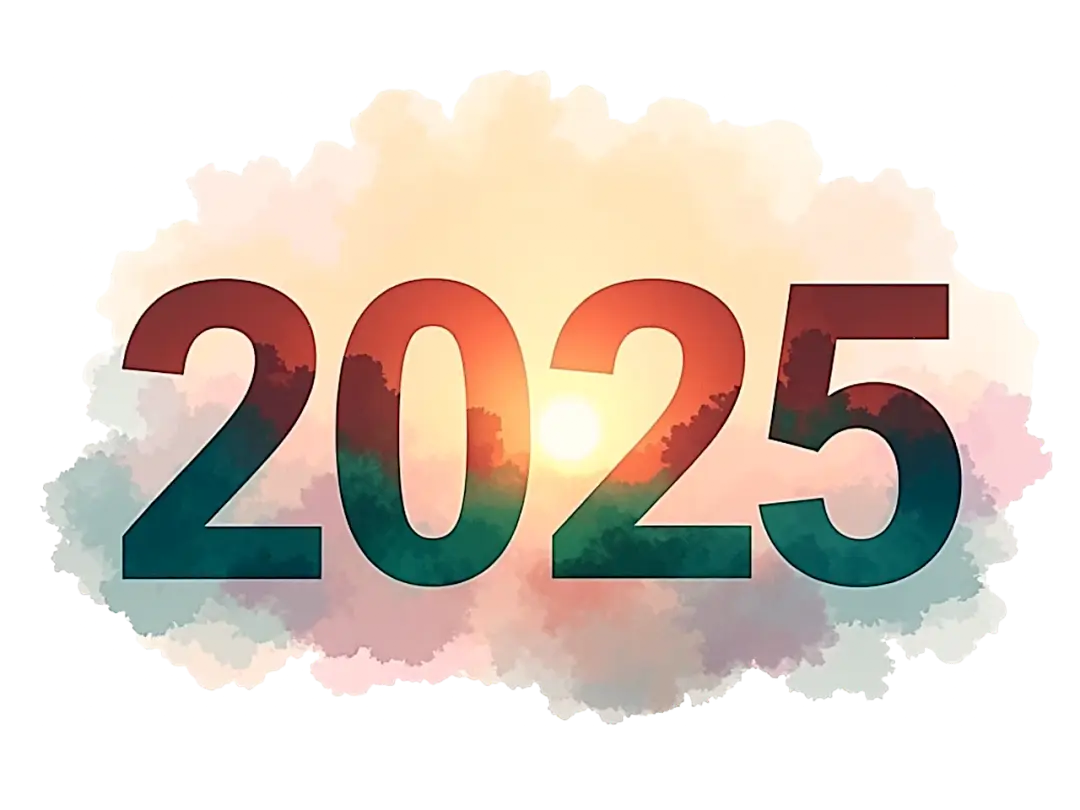 2024总结 2025新开始